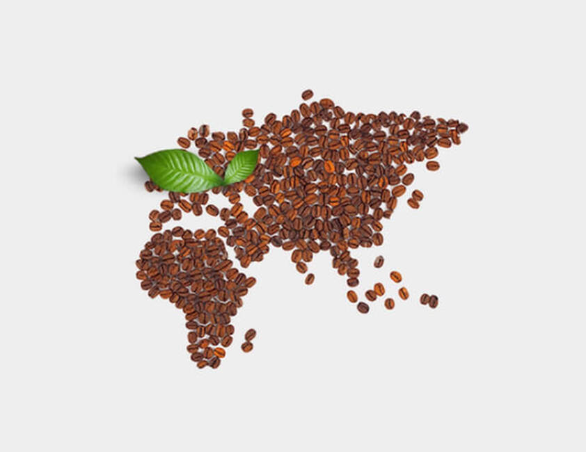  L'arrivée en Europe}