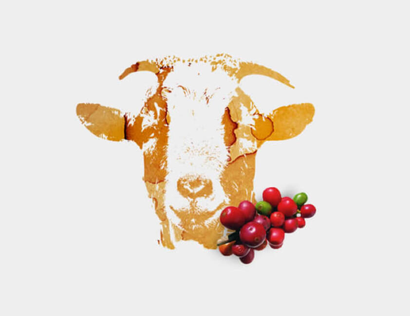  Le berger et les chèvres}