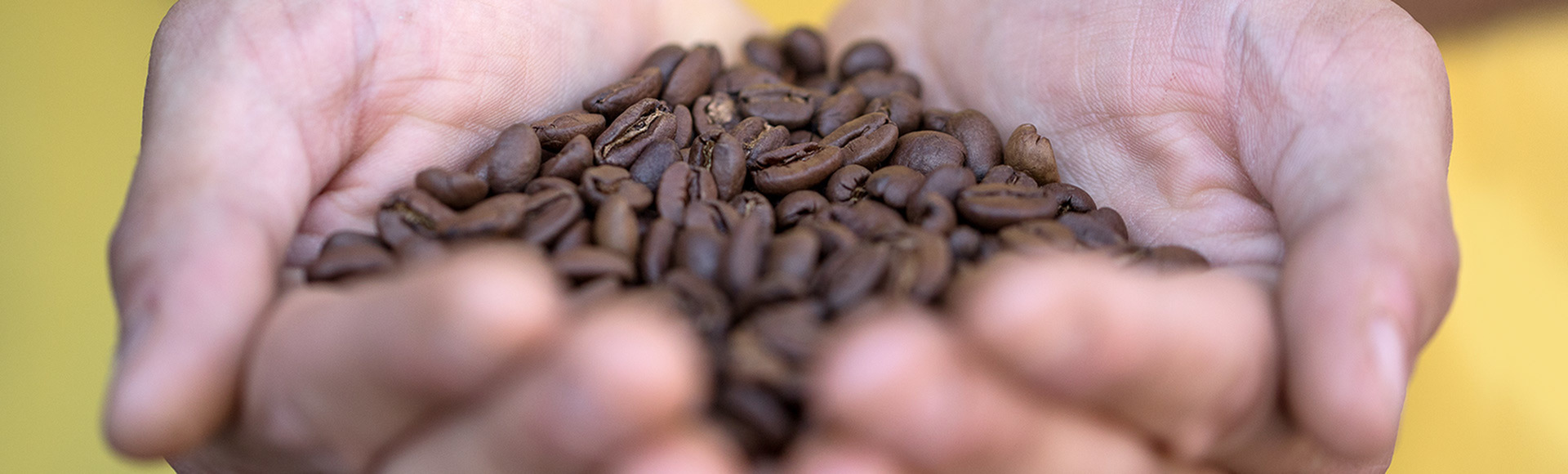   DELTA Q   Derrière chaque moment Delta Q, il y a une longue histoire... 